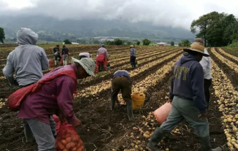 Consejo de Gabinete aprueba la eliminación de Aupsa