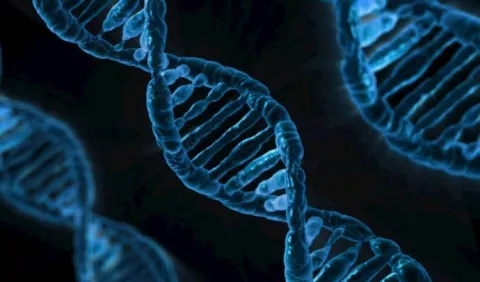 Estudio muestra la posibilidad de diagnosticar la epilepsia a través de la genética