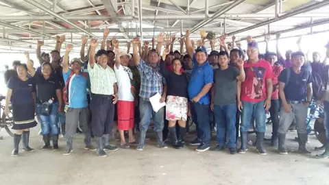 Trabajadores de bananera reclaman pago  retroactivo, según acuerdo