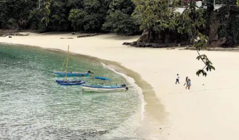 Plan para salvar isla Iguana será presentado
