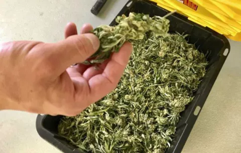 Funcionario del Ministerio Público es sorprendido con droga en su auto