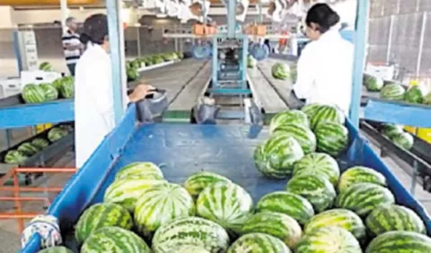 Exportadores podrán conocer mercados, a través de nueva oficina del Mici