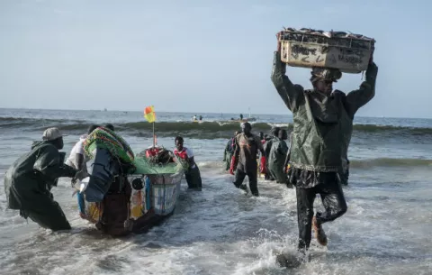 Migrantes viven un futuro incierto a la hora de marcharse de sus hogares