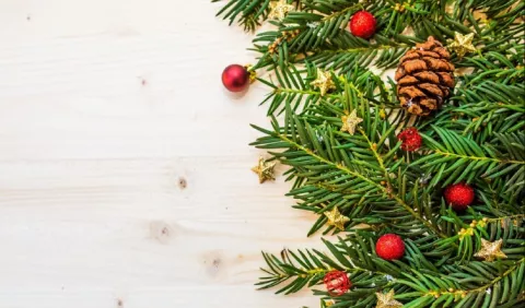 Concierto de Navidad de la Camerata Panamá 