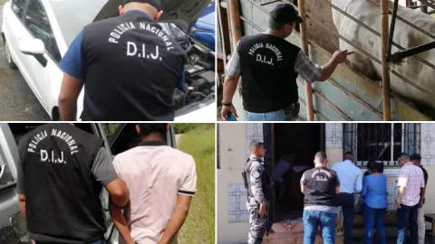 Prófugos, vehículos y hasta 14 reses hurtadas, son parte de un operativo policial