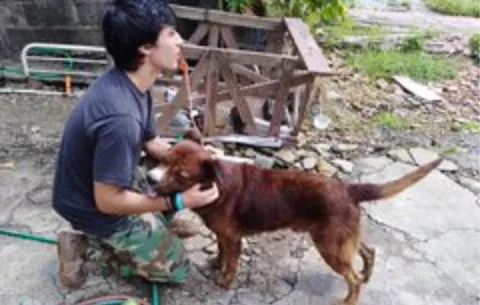 Unidades policiales rescatan a perro que era maltratado en Veranillo