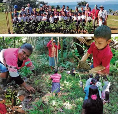 Reforestan áreas  que alimentan cuenca en la  comarca Ngäbe-Buglé