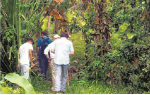 Tour del cacao, una nueva alternativa  para los turistas