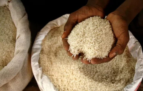 Hay suficiente arroz para abastecer a la población, según los productores