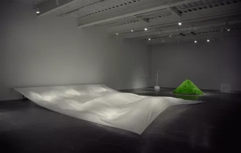 Artista manifiesta una perspicaz rebelión en su obra