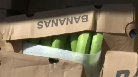 Decomisan cerca de 400 cajas de banano tico de contrabando
