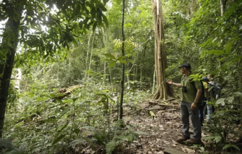 MiAmbiente sustenta la inviabilidad de venta de tierras boscosas