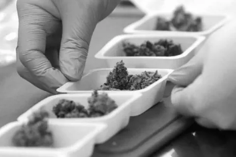 Las vías de administración del cannabis