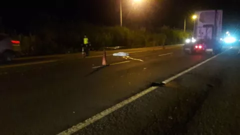 Una mula acaba con la vida de un hombre en la carretera Panamá-Colón
