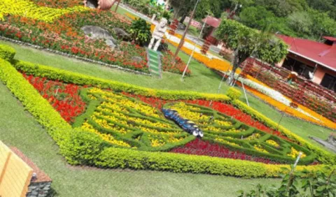 Se preparan para la Feria de las Flores y el Café