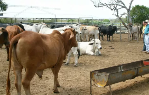 Mida y Aprogalpa firman convenio para mejorar la genética en producción de leche 