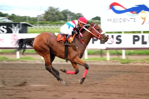 Cheska lució muy fácil y El Muchachito hizo explotar los relojes camino a la Serie Hípica del Caribe