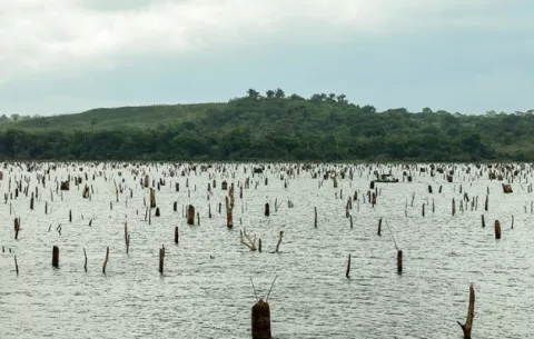 El embalse de Gatún continúa por debajo del nivel de referencia y Alhajuela vuelve a descender