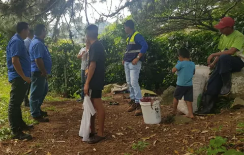 Menores son detectados laborando en campos agrícolas en Chiriquí