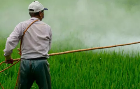 México toma medidas para eliminar uso de plaguicidas de alta peligrosidad