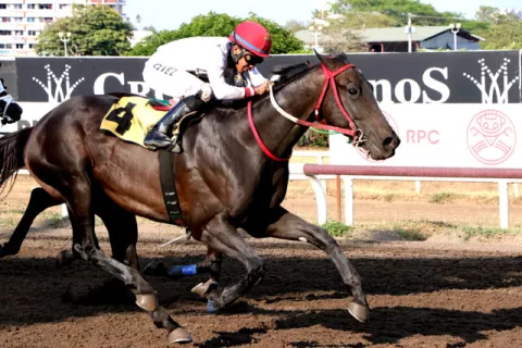 Mirjan va por su tercer triunfo seguido y será un punto clave en el 5 y 6