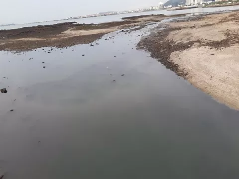 Empresa Louis Berger, en carrera por llevarse Estudio de Impacto Ambiental de playas de la bahía de Panamá