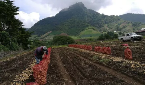 Productores no confían en nueva entidad que elimina a la Aupsa