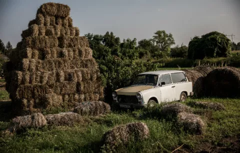 Los subsidios agrícolas benefician a pocos