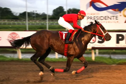 Ganó Van Daelen y este año no habrá campeón de la triple corona de importados