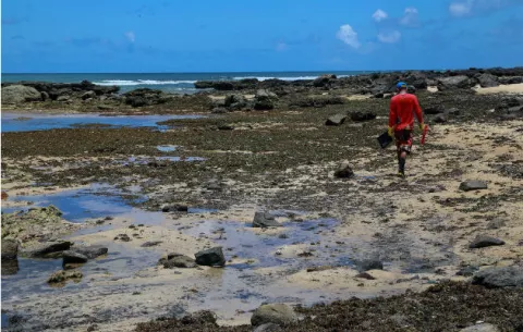 Brasil sospecha que un buque griego es responsable del vertido de crudo