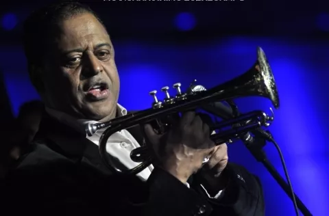 El merengue sigue vivo