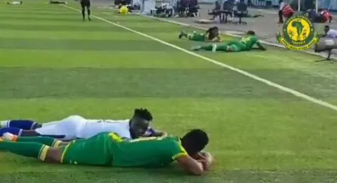 Ataque de un enjambre de abejas obliga  detener un partido de fútbol
