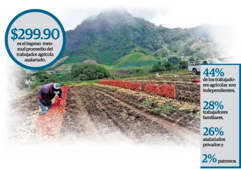 Sector agropecuario sigue  siendo poco eficiente, aunque emplea al 14 por ciento de la fuerza laboral