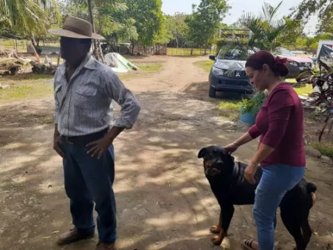 Inician la investigación por la muerte de perros en La Villa