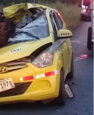 Conductor de taxi colisiona con un equino en soltura en el distrito de Dolega