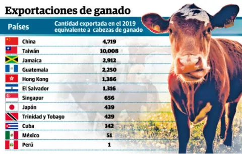 Calidad de carne nacional, un atractivo para el mercado internacional