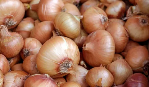 Para el 2020 la producción de cebolla nacional podría cubrir la demanda