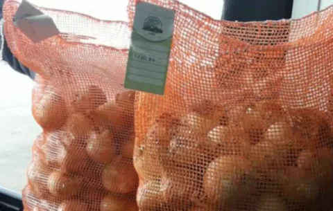Se inicia el etiquetado de la cebolla nacional e importada