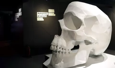 Cientifismo, ¿nueva religión?