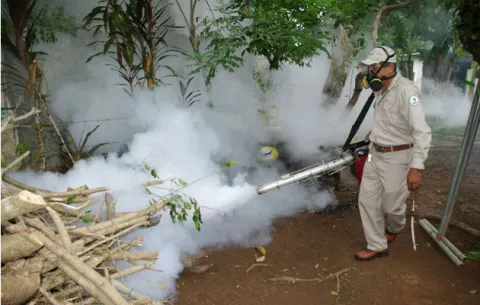 Minsa intensificará operativos ante los más de 4 mil casos de dengue en el país