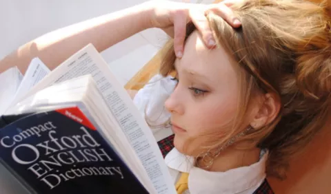 Panamá en el dominio del idioma inglés
