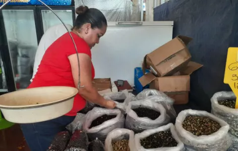 Instan a consumidores a comprar guandú desde $2.50 en el Merca Panamá