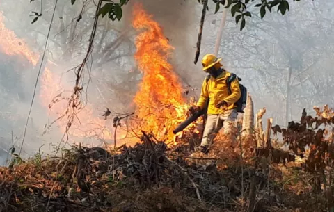 Incendios forestales se multiplicaron por 10 en verano de 2019 en Panamá