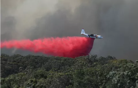 El mundo arde ahora todo el año