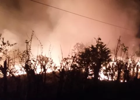 MiAmbiente está en alerta por incendios de masa vegetal