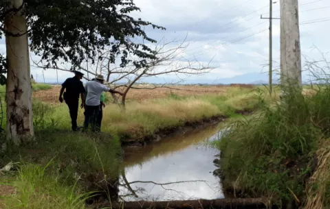 Investigan si presencia de químicos fue causante de mortandad de peces 