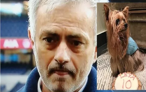 Mourinho, al borde de las lágrimas tras revelar que su perra murió en Navidad