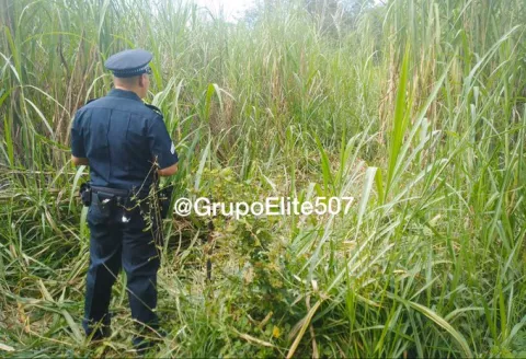 Encuentran una osamenta en Bique de Arraiján
