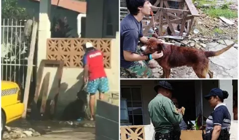 Aumentarán pena de prisión por maltrato a animales