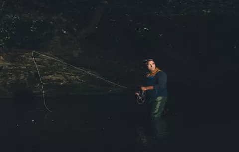 Están descubriendo el poder curativo de la naturaleza